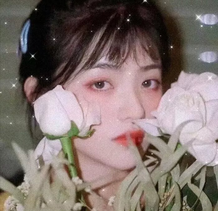 选举潮